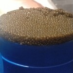 銀座 大石 - 料理の素材、キャビア