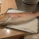 銀座 大石 - 料理の素材、魚