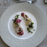 サンシャイン クルーズ・クルーズ - 