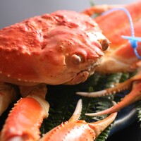 日本海山陰産 松葉かに姿茹