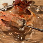 やまぐち - あかざ海老