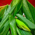 hinabemitaseito - 2月の季節のお野菜〈京都八幡産 九条ねぎ〉
