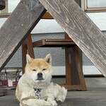 串焼き BUBU-TON - 