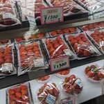 ベリーズ ファーム ハセガワ - 