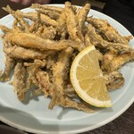 川治 - わかさぎ