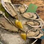 SALTY Oyster House - 