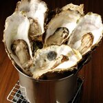 Grilled Noto Oyster (8 pieces)
