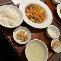 碧麗春 - 