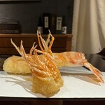 Tempura Azabu Yokota - 車海老