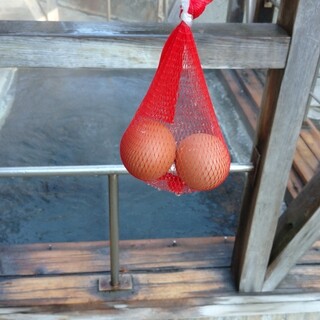 民宿 あづまや荘_1