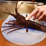 銀座 鉄板焼き Sublime - 活き伊勢海老