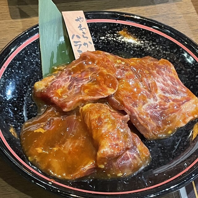 Sotokan Fujiidera Sakaba Jonetsu Horumon photo 4