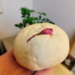 えんツコ堂 製パン - 【桜あんぱん】(¥300)