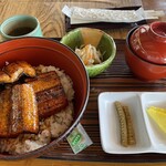 四万十屋 - うなぎ丼(養殖)