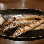 はるい - ししゃも