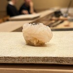 鮨 冨味 - 握り（しろえび）