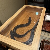 にょろ助 銀座 - 