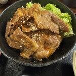 カルピ丼専門店 スタミナ亭 - 