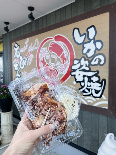 いかの姿焼 半ろく 豊半 やなし工場 - 河和/せんべい | 食べログ