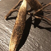 ヒカリヤ ニシ - 