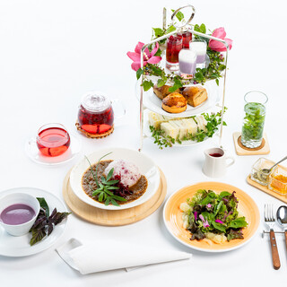 南風ガーデン_0