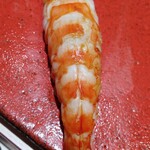 博多 鮨 まつもと - 車海老