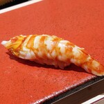 博多 鮨 まつもと - 車海老