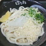 Hanamaru Udon - 