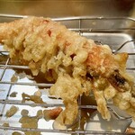 Tempura Hirao - ソフトシェル