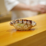 鮨 あらい - 「シャコ」