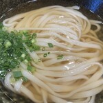 本格派博多うどん はし田たい吉 - 