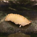 にぎり鮨 一五〇 - 熟成アオリイカ