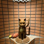 CACAOCAT - 