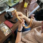 爬虫類カフェバー RePL - 何匹でも無料