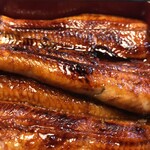 うなぎ亭 友栄 - 鰻アップ