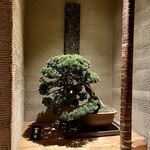 Azabu Juuban Shimoi - 