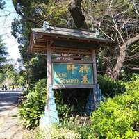 上野精養軒本店 グリル - 