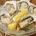 The fresca oysterbar&kitchen - 