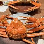 光風湯圃 べにや - 