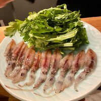 シーズン - 
