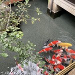 銘石の宿 かげつ - 池