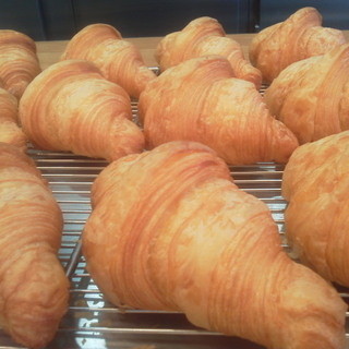 コーデュロイ_0