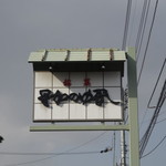 星加のゆべし - 石鎚神社参道付近国道沿い