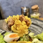 Supaishi Kareroka - 魯肉飯（ルーローハン）