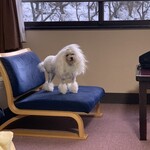 芦ノ牧プリンスホテル - 