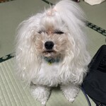 芦ノ牧プリンスホテル - 