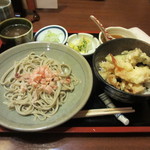 蕎麦 やすたけ - 2013年12月再訪　おろしそば＆ミニ天丼