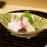 新ばし 笹田 - 「造り」煽烏賊、桜鯛