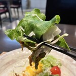 和 およばれ - サラダ