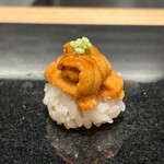 鮨と天草大王 天音 - バフンウニ